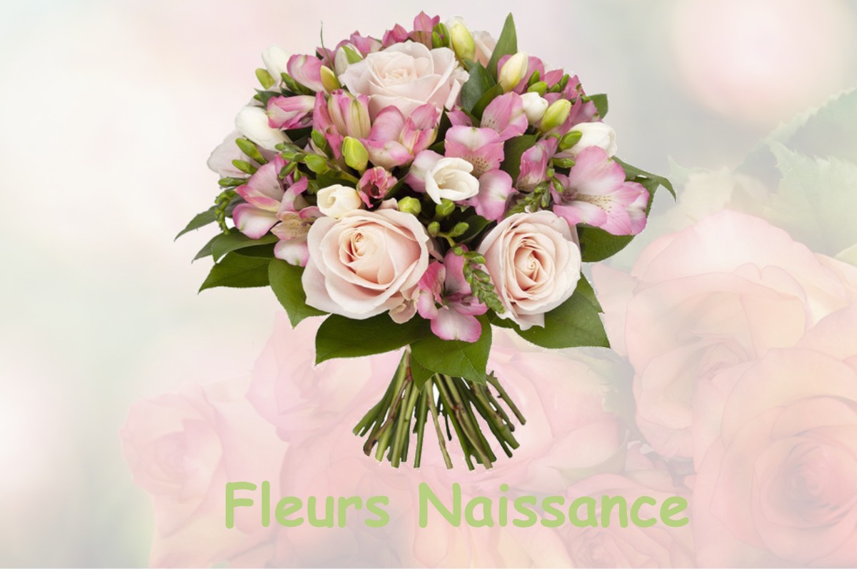 fleurs naissance VIELLE-TURSAN