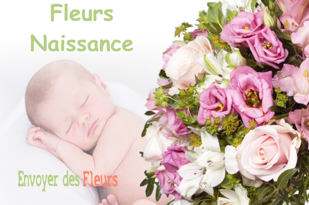 lIVRAISON FLEURS NAISSANCE à VIELLE-TURSAN